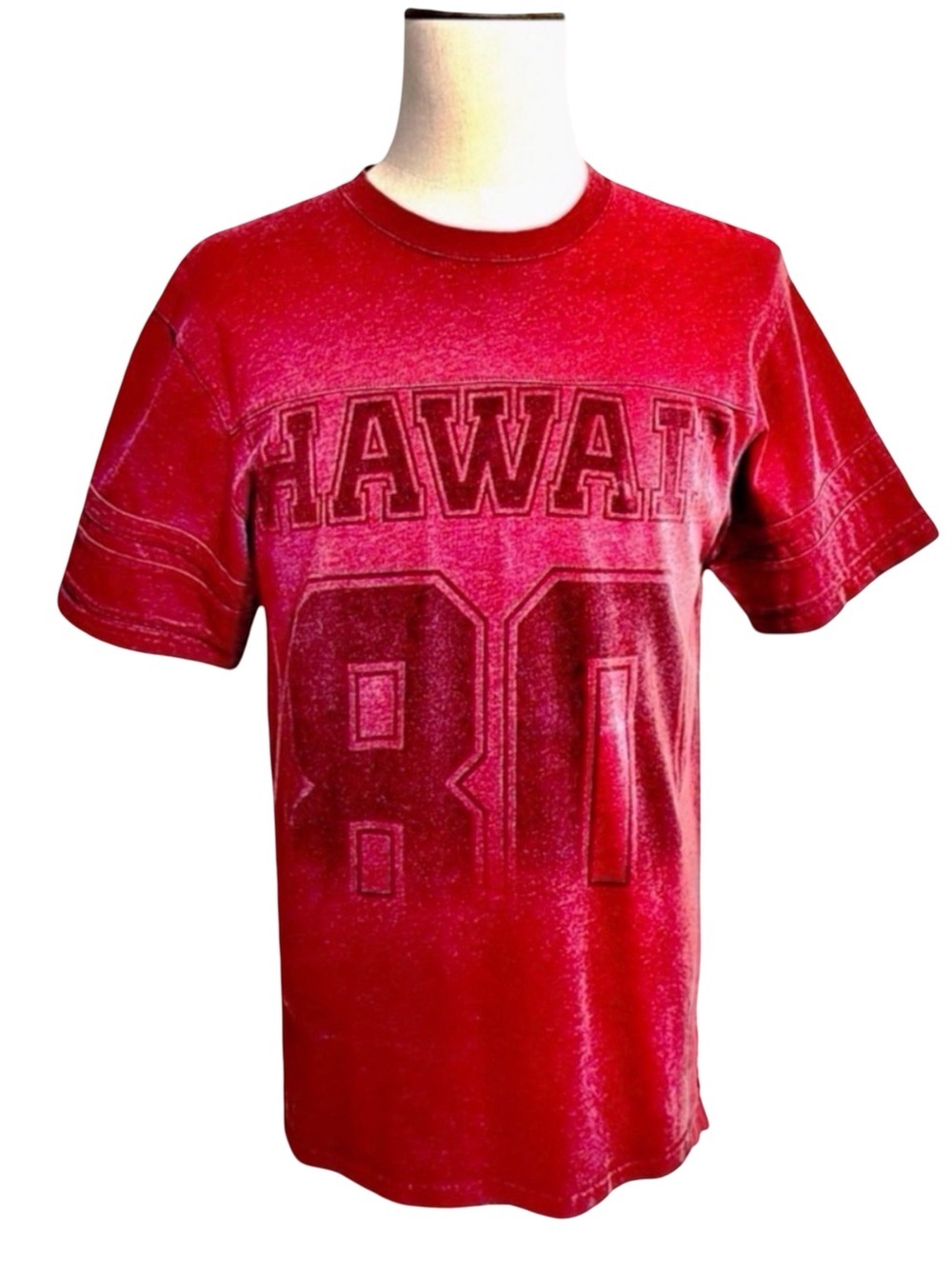 The Hundreds Hawaii 81 Red Graphic Tee Shirt | Large | Vintage Wash Streetwear